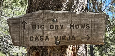 big dry meadow